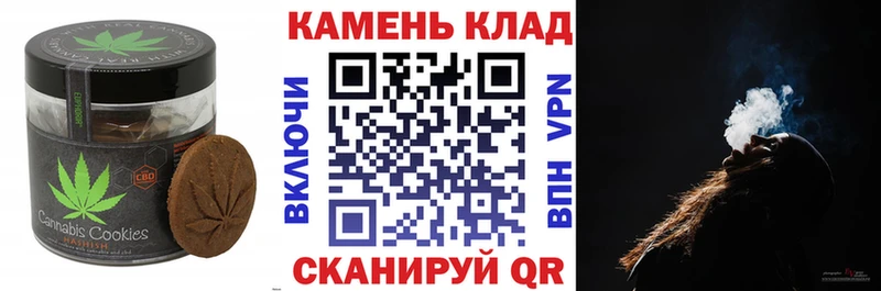 MEGA   как найти наркотики  Змеиногорск  Canna-Cookies марихуана 