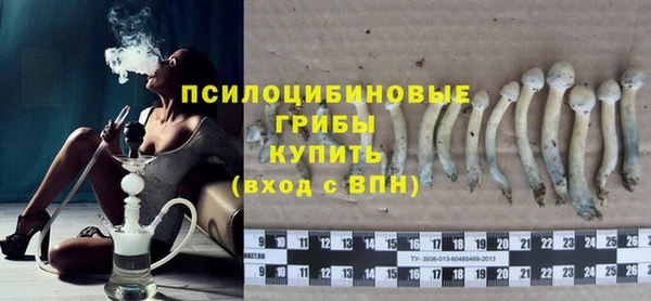 гашик Балахна