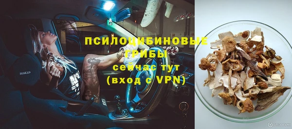 дживик Балабаново