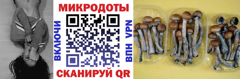Галлюциногенные грибы прущие грибы  Змеиногорск 